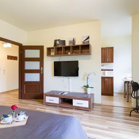 Przytulny Z Parkingiem Blisko Tauron Areny *