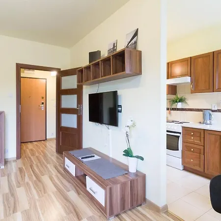 Przytulny Z Parkingiem Blisko Tauron Areny Appartamento