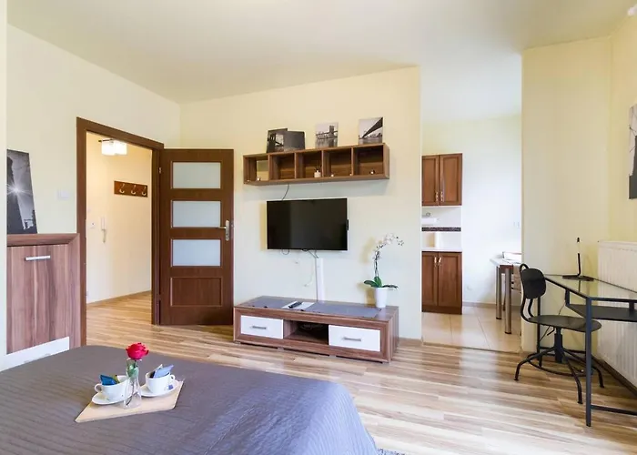 Przytulny Z Parkingiem Blisko Tauron Areny *